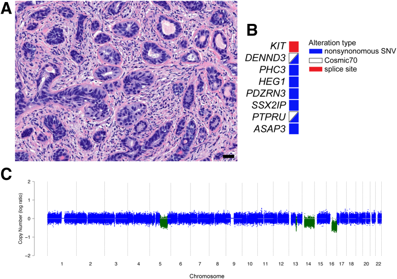 Figure 1