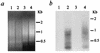 FIG. 7