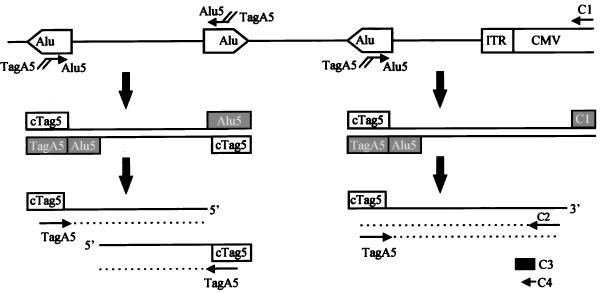 FIG. 1