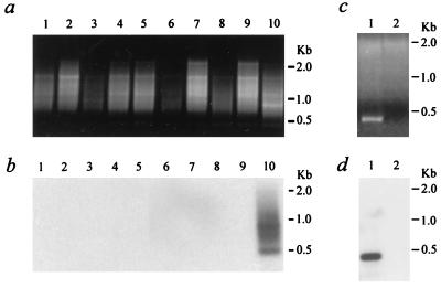 FIG. 8