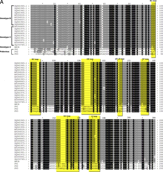 Fig. 10.