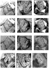 Fig. 3