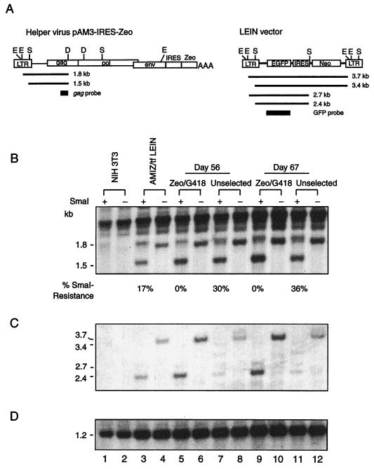 FIG. 6