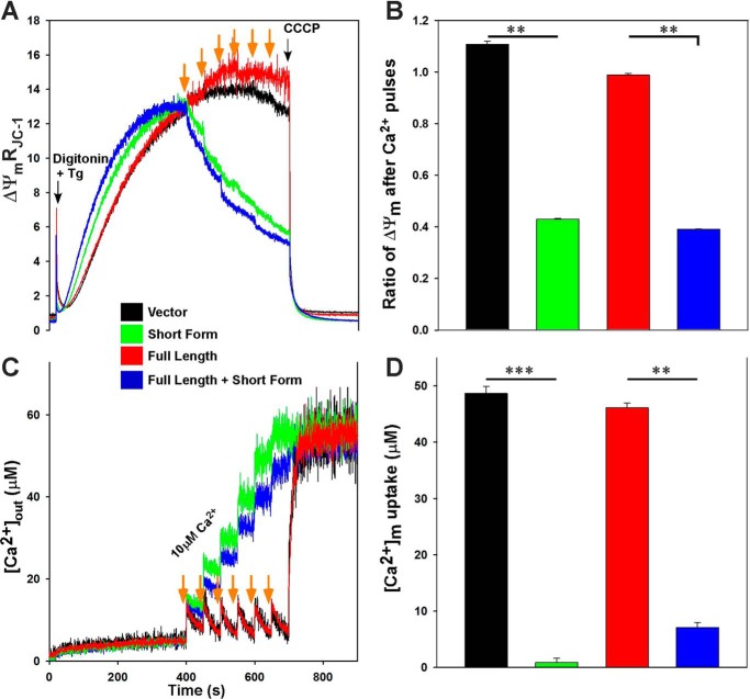 FIGURE 10.