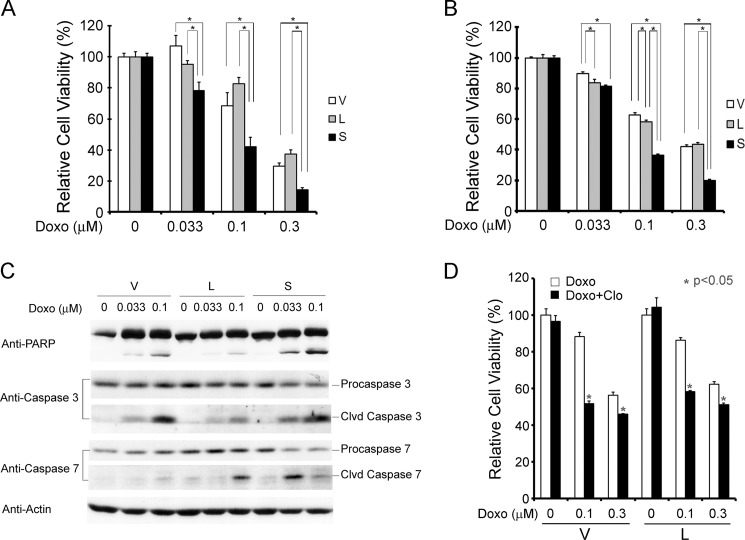 FIGURE 12.