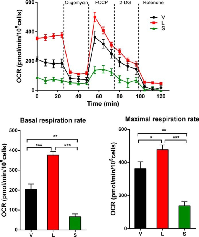 FIGURE 11.