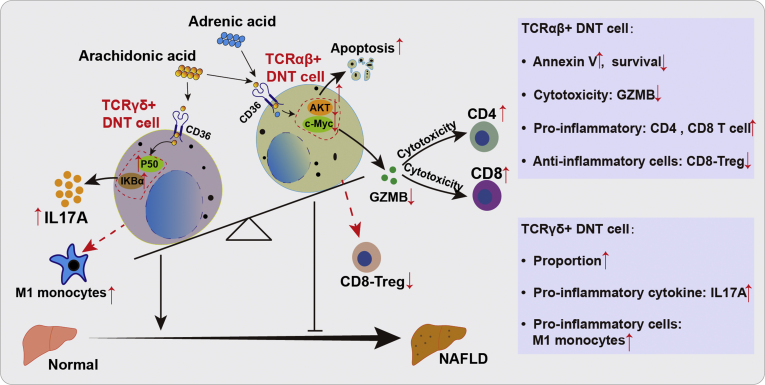 Figure 11