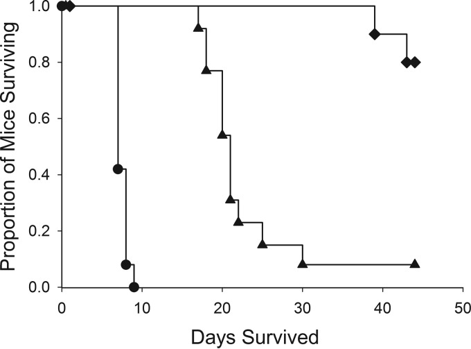 FIG 2