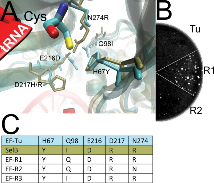 Figure 2.