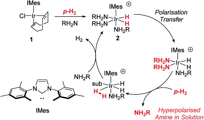 Scheme 1