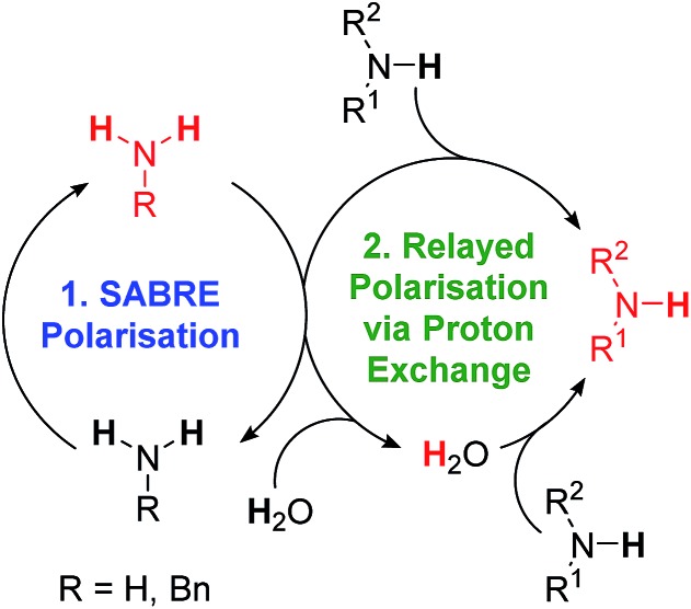 Scheme 2