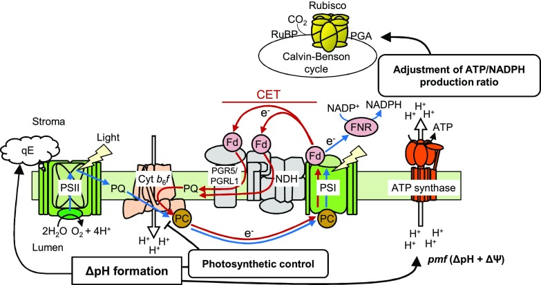 Figure 1.