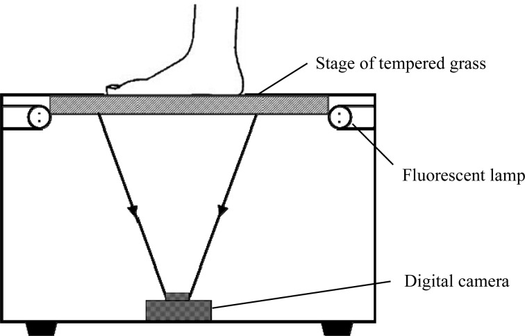 Fig. 1.