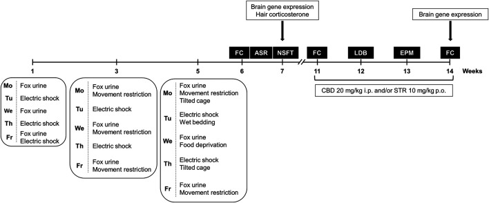 FIGURE 1