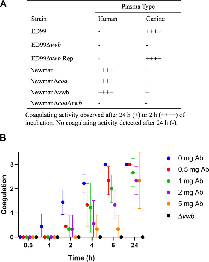 FIG 6