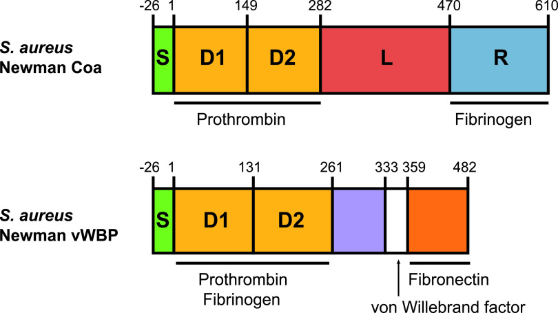 FIG 1