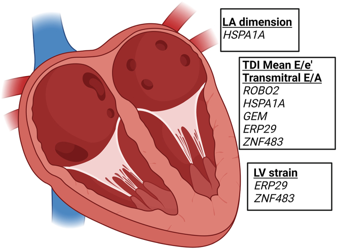 Figure 3