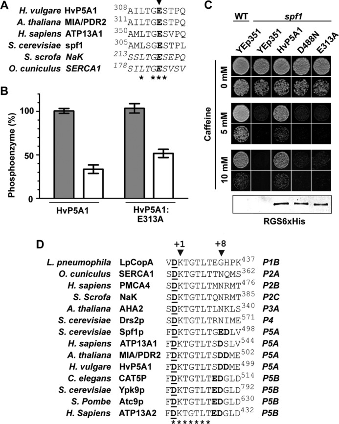 FIGURE 10.