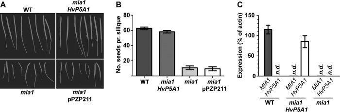 FIGURE 2.