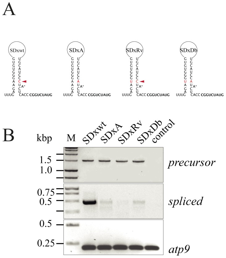 Figure 6