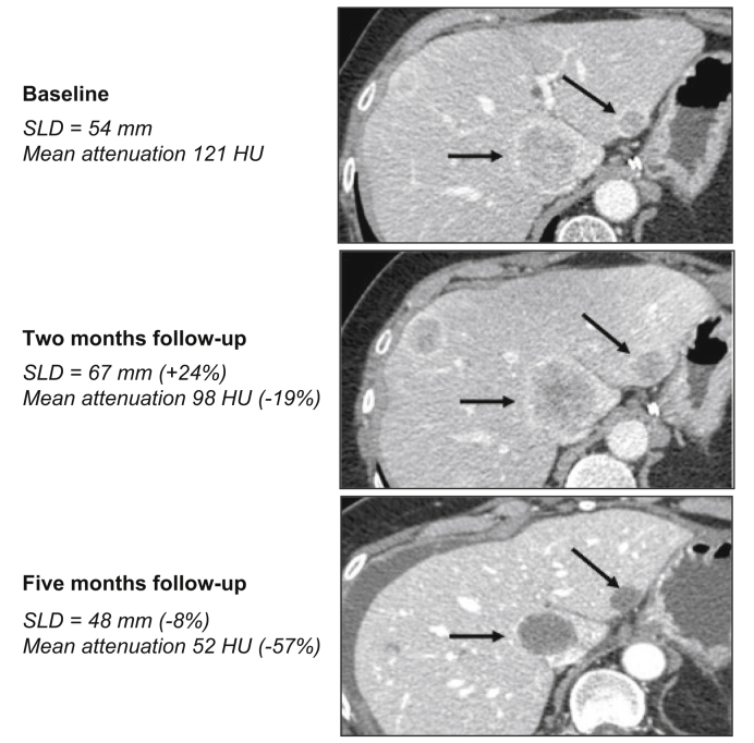 Fig. 4