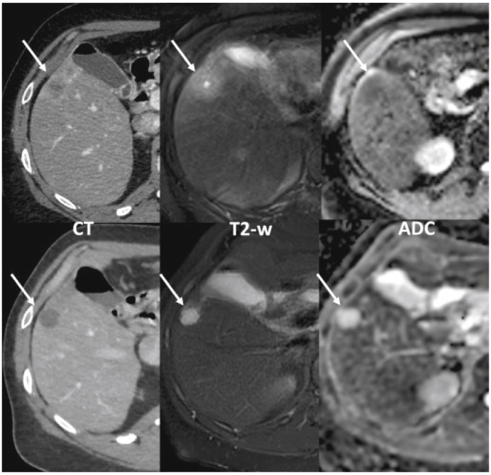 Fig. 5