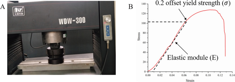 Fig. 2