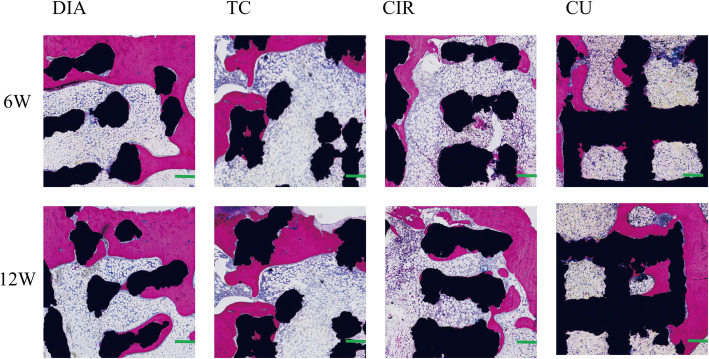 Fig. 8