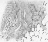 394-1