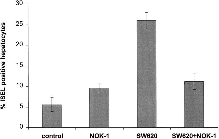 Figure 9.