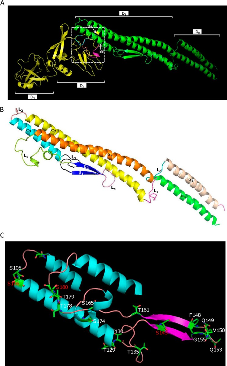 FIGURE 4.