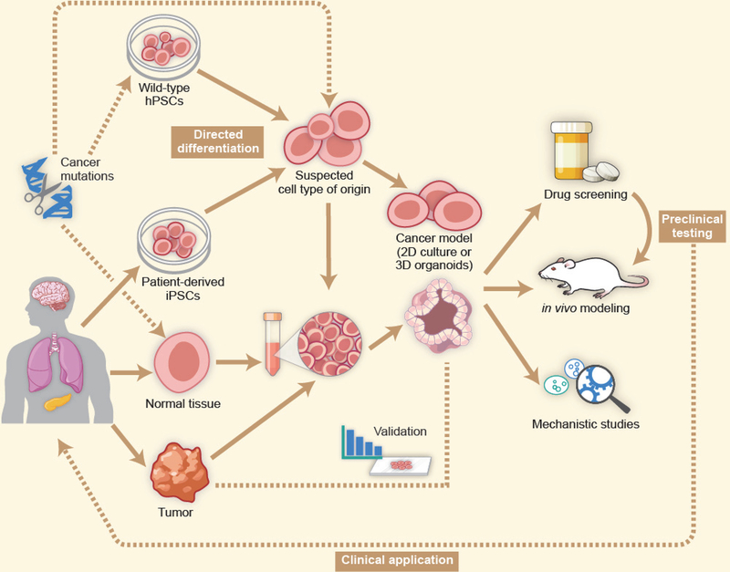 Figure 2: