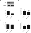 Supplementary Fig. 1