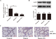 Supplementary Fig. 2