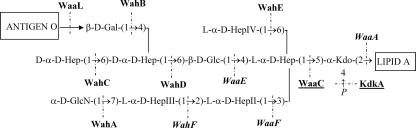 FIG. 7.