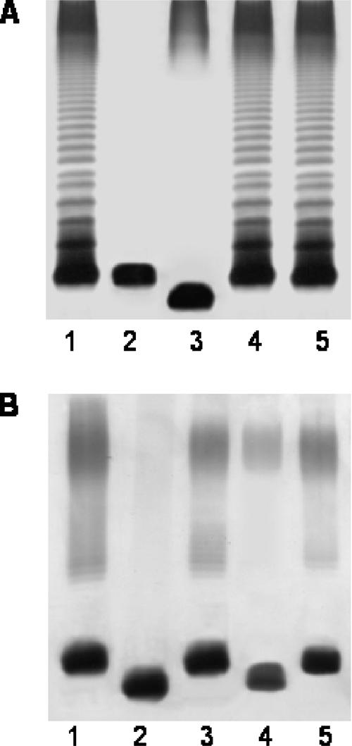 FIG. 5.