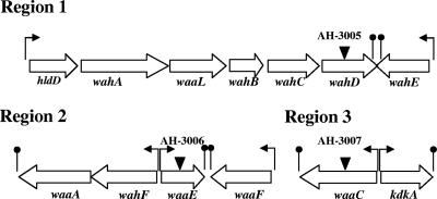 FIG. 3.