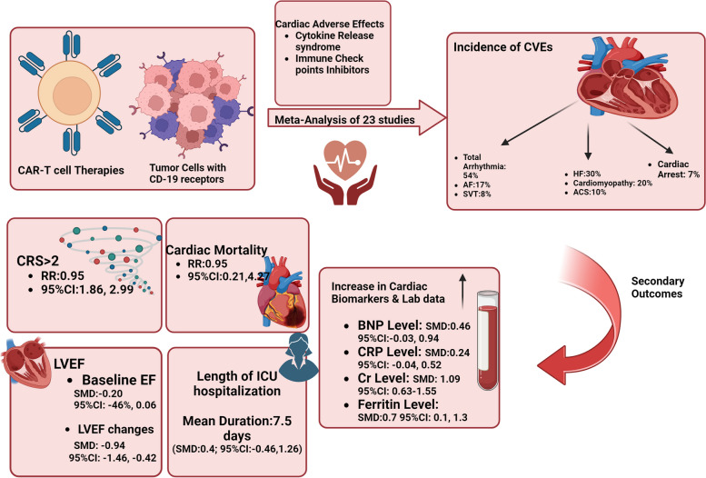 graphic file with name 40959_2024_252_Figa_HTML.jpg