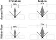 Figure 9.