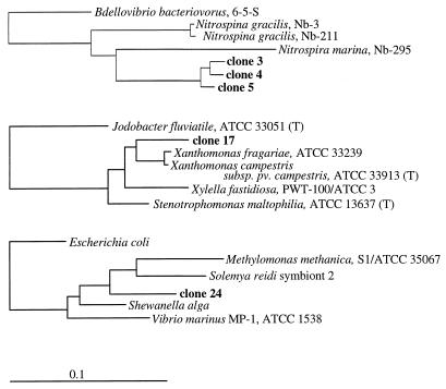 FIG. 6