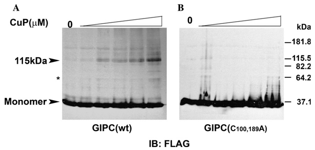 Fig. 5