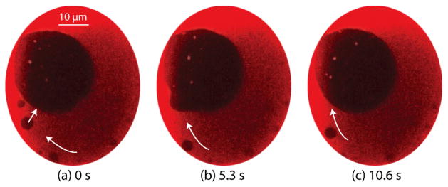 Fig. 5