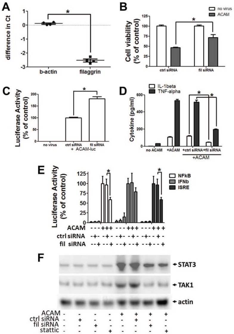 Fig 5