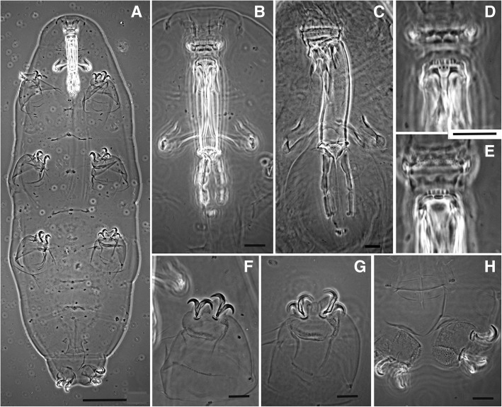 Fig. 2