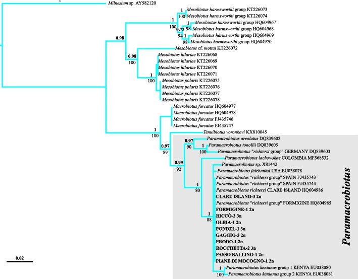 Fig. 12