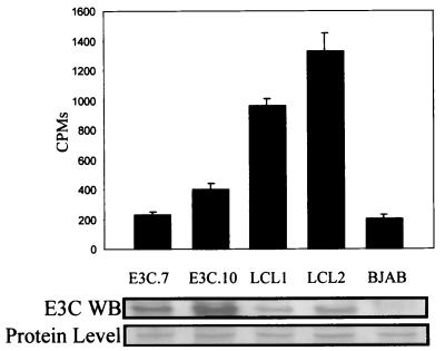 FIG. 8.