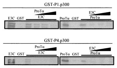 FIG. 7.