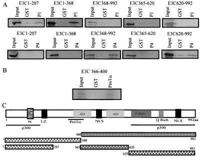 FIG. 6.