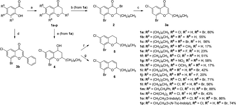 Scheme 1