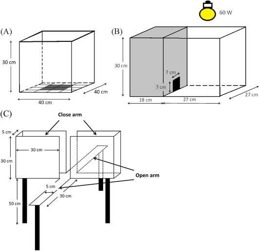 Fig. 1